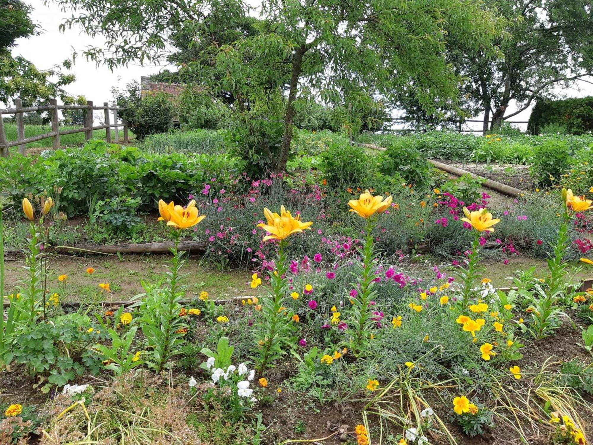 Maison De Charme Avec Jardin, Nature, Cheminee, Wifi, Proche Manoirs Et Rivieres Tortueuses - Fr-1-497-99 Saint-Bomer-les-Forges Екстериор снимка